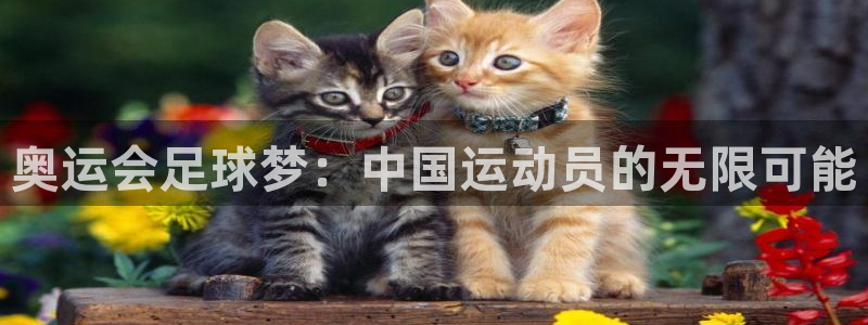  奥运会足球梦：中国运动员的无限可能