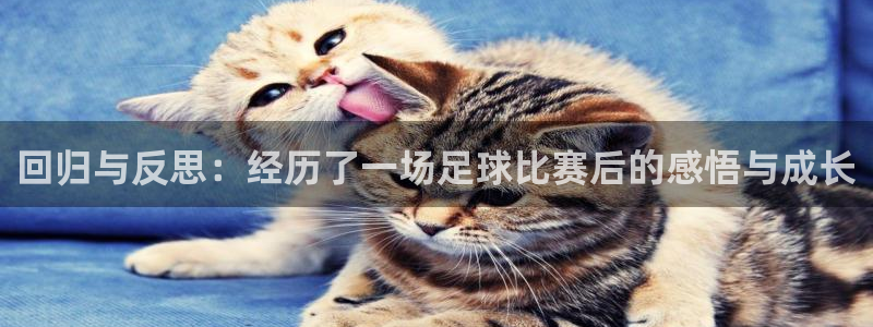  回归与反思：经历了一场足球比赛后的感悟与成长