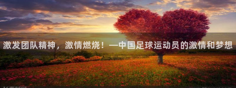 激发团队精神，激情燃烧！—中国足球运动员的激情和梦想