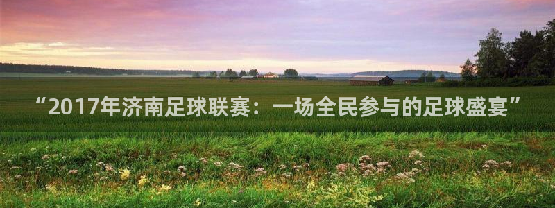  “2017年济南足球联赛：一场全民参与的足球盛宴”