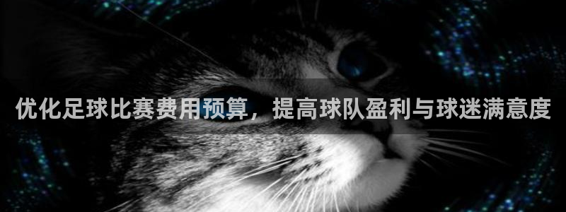  优化足球比赛费用预算，提高球队盈利与球迷满意度