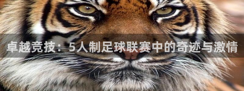 卓越竞技：5人制足球联赛中的奇迹与激情