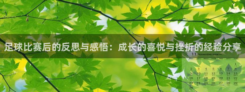 足球比赛后的反思与感悟：成长的喜悦与挫折的经验分享