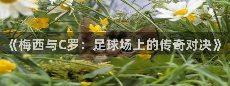  《梅西与C罗：足球场上的传奇对决》