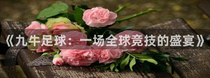  《九牛足球：一场全球竞技的盛宴》