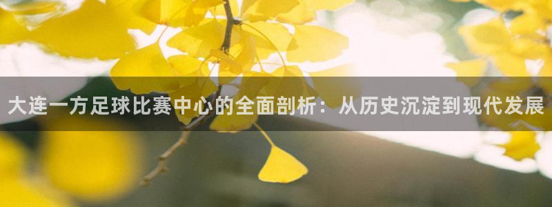 大连一方足球比赛中心的全面剖析：从历史沉淀到现代发展