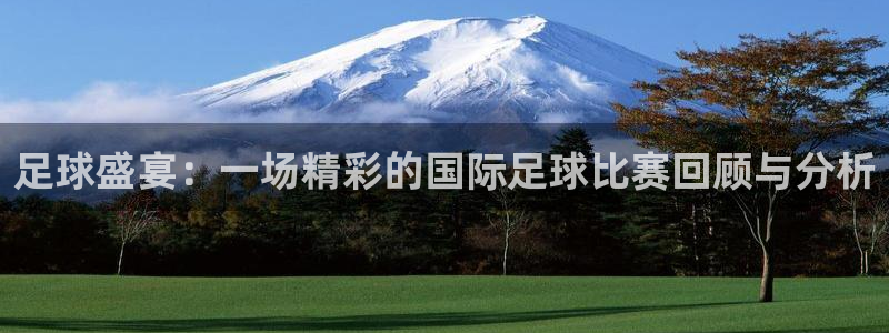  足球盛宴：一场精彩的国际足球比赛回顾与分析