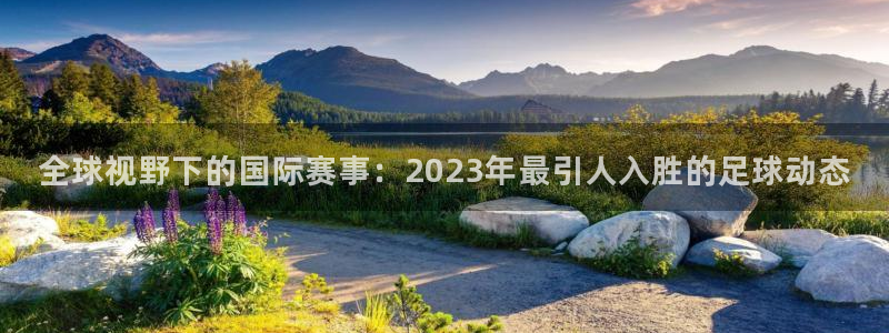  全球视野下的国际赛事：2023年最引人入胜的足球动态
