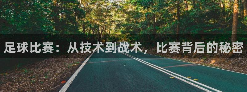 足球比赛：从技术到战术，比赛背后的秘密