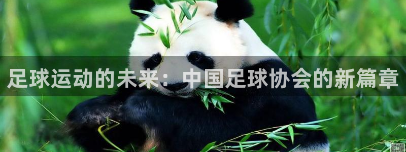 足球运动的未来：中国足球协会的新篇章
