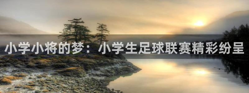  小学小将的梦：小学生足球联赛精彩纷呈