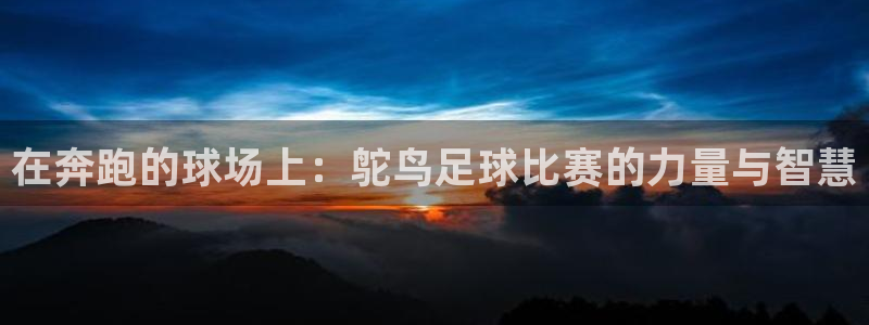 在奔跑的球场上：鸵鸟足球比赛的力量与