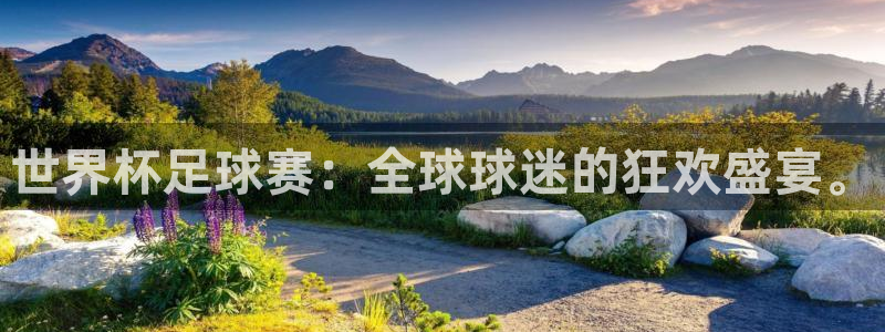 世界杯足球赛：全球球迷的狂欢盛宴。