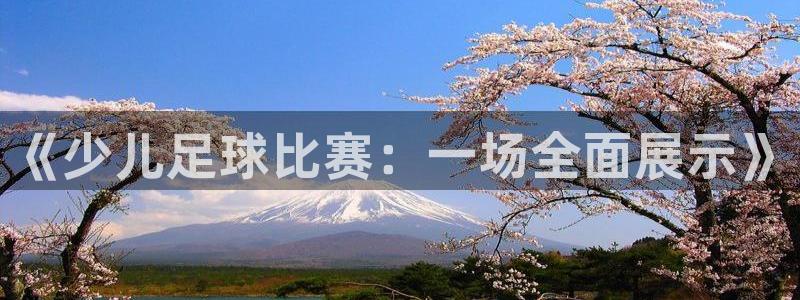 《少儿足球比赛：一场全面展示》