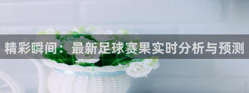  精彩瞬间：最新足球赛果实时分析与预测