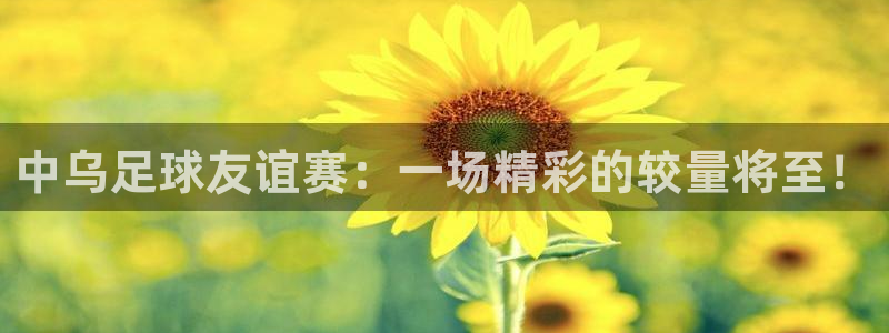 中乌足球友谊赛：一场精彩的较量将至！