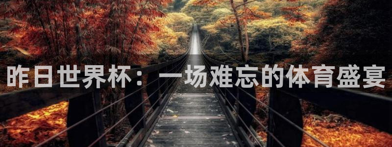 昨日世界杯：一场难忘的体育盛宴