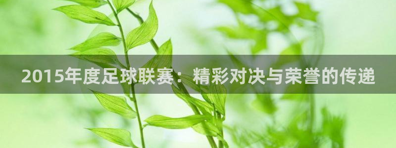 2015年度足球联赛：精彩对决与荣誉