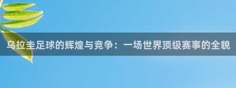  乌拉圭足球的辉煌与竞争：一场世界顶级赛事的全貌