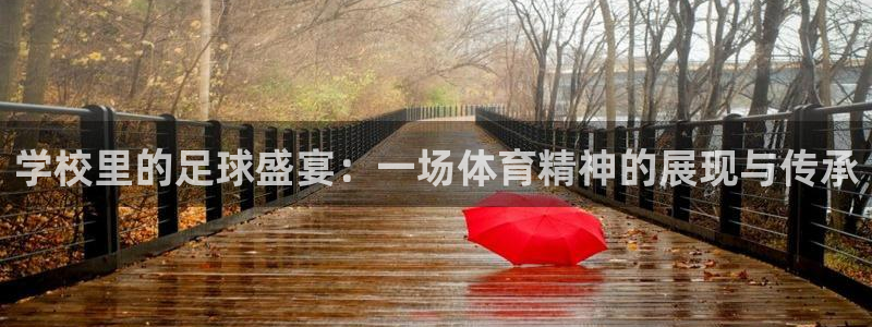  学校里的足球盛宴：一场体育精神的展现与传承