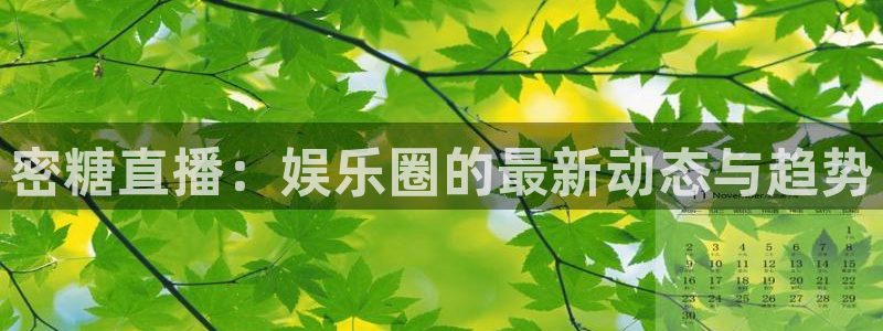 搜球吧 直播：密糖直播：娱乐圈的最新动态与趋势